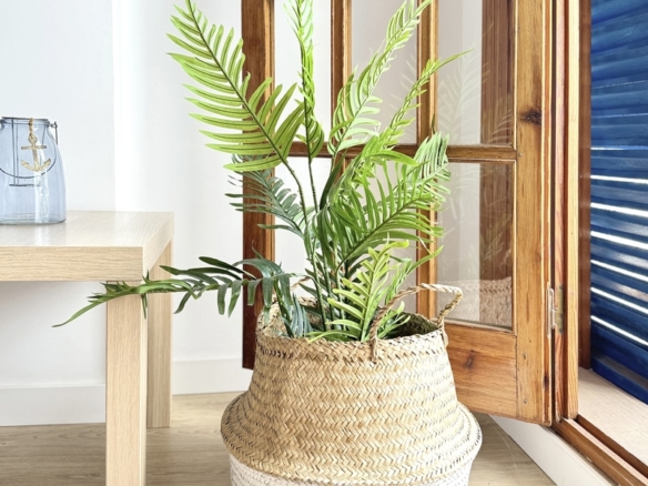 07-PLANTA-584x438